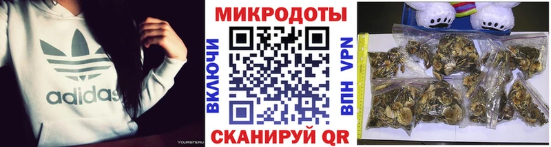 mega как войти  Покровск  Псилоцибиновые грибы Cubensis 